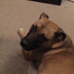 Meet your Posher, Isabel